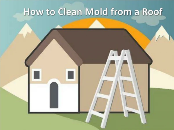 How to Clean Mold from a Roof
