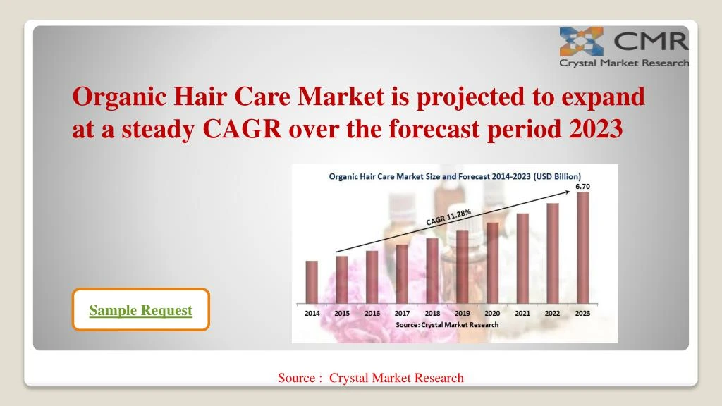 organic hair care market is projected to expand