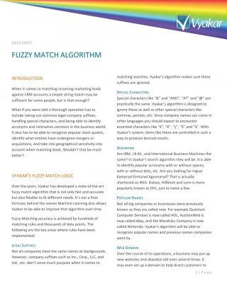 Fuzzy Match Algorithm - slide 1
