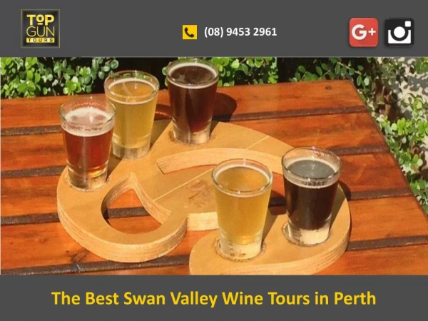 The Best Swan Valley Wine Tours in Perth