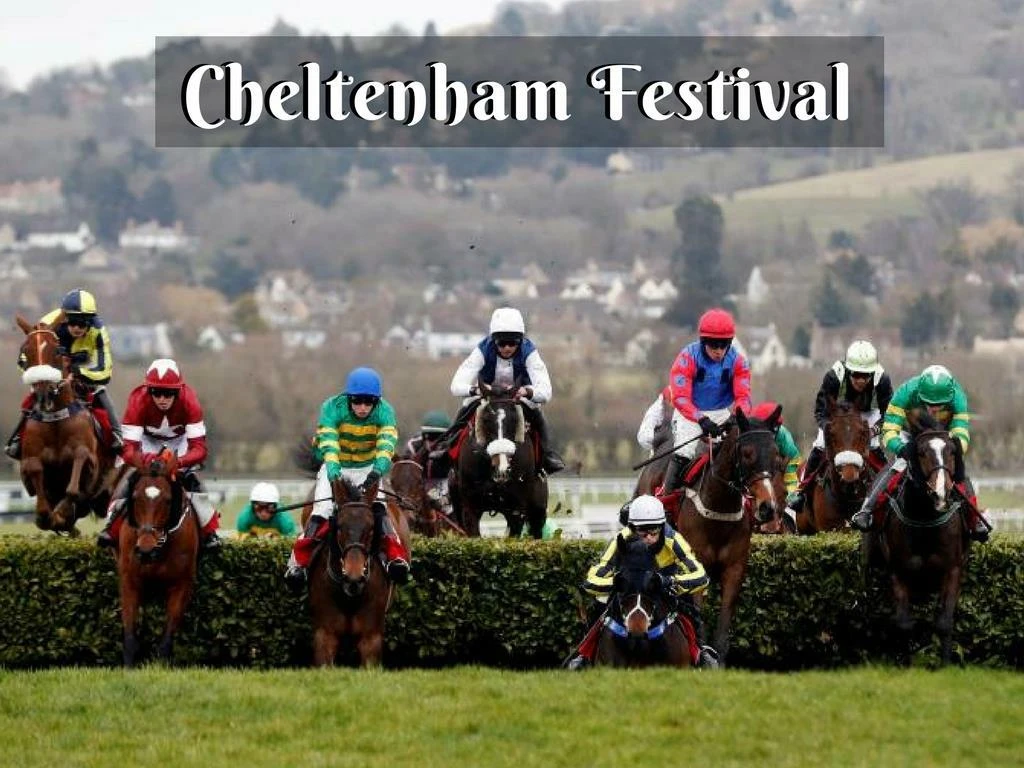 cheltenham festival