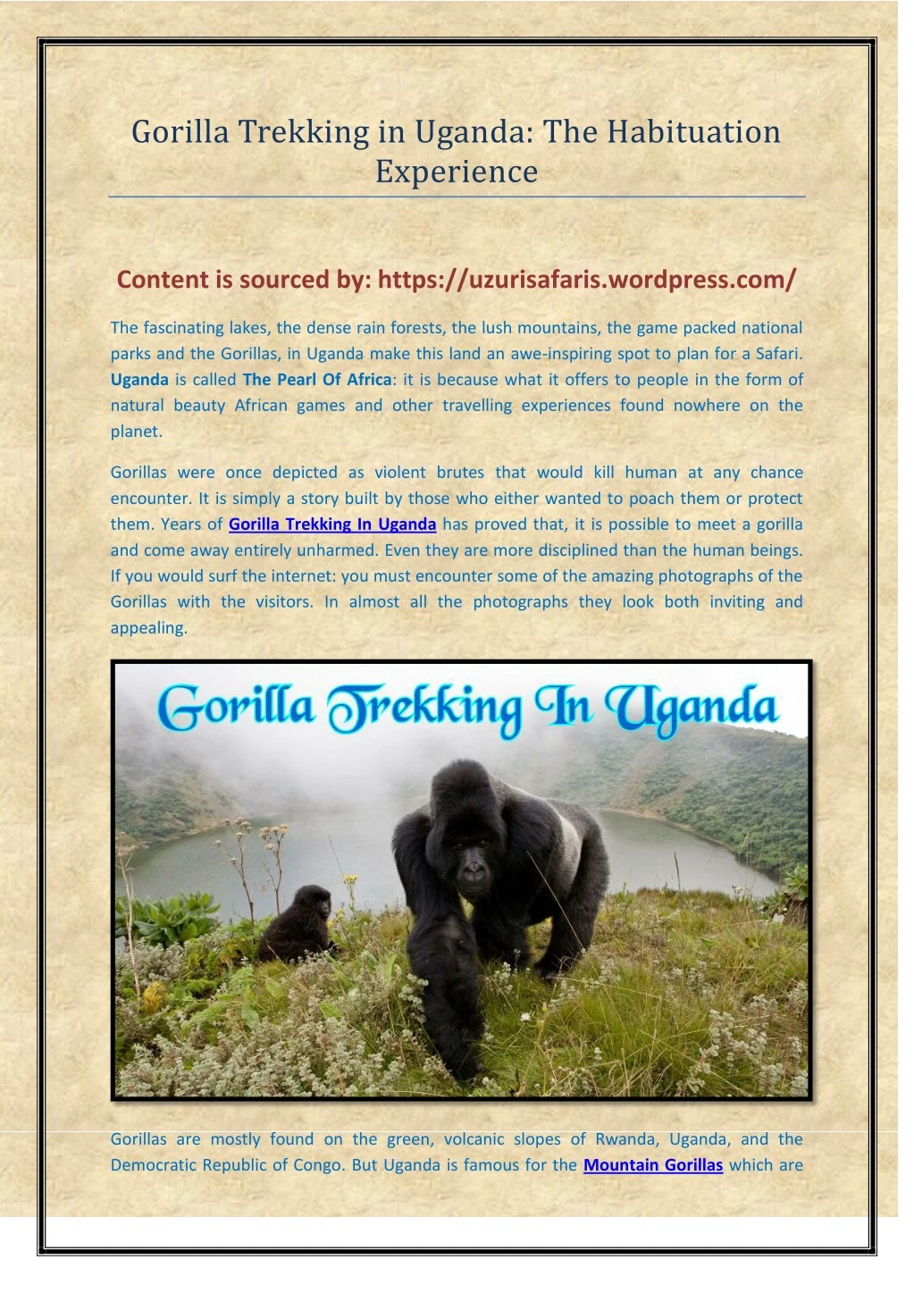 gorilla trekking in uganda the habituation