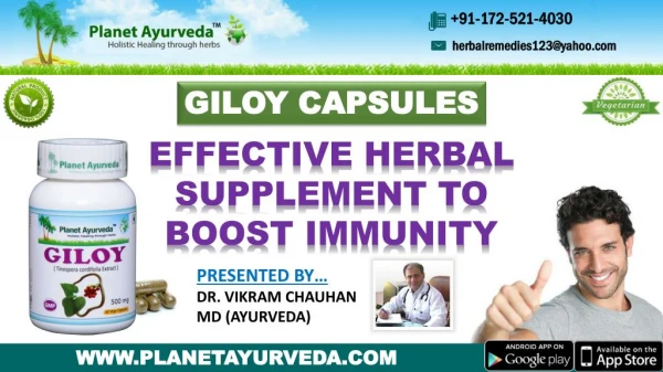 Giloy Capsules (Tinospora Cordifolia) - Ayurvedic, Medicinal Properties, Health Benefits & Dosage