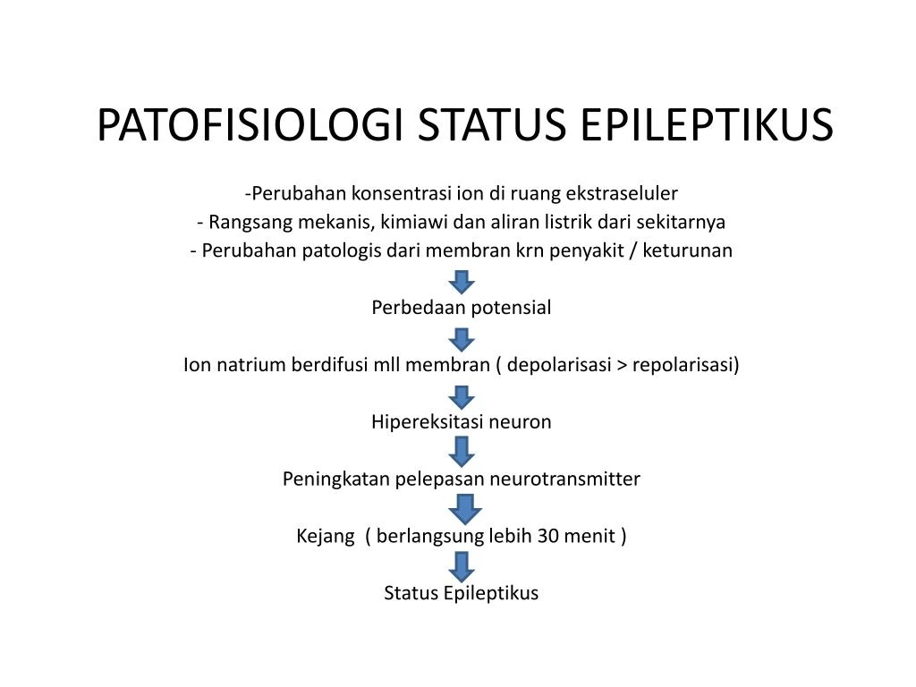 patofisiologi status epileptikus