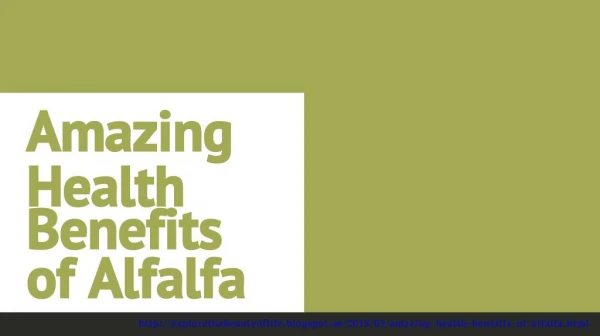 Amazing Health Benefits of Alfalfa