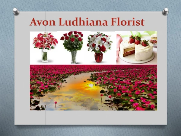 Send Cakes and Flowers to Ludhiana