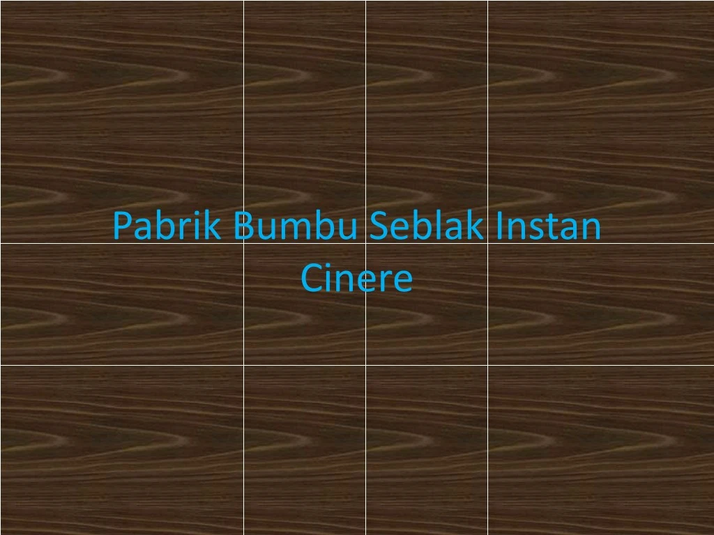 pabrik bumbu seblak instan cinere