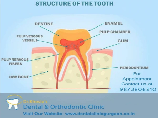 Reliable & Best Dental Clinic in Gurgaon