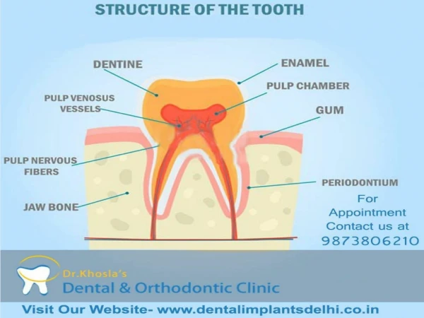 Top and Best Dental Clinic in Delhi