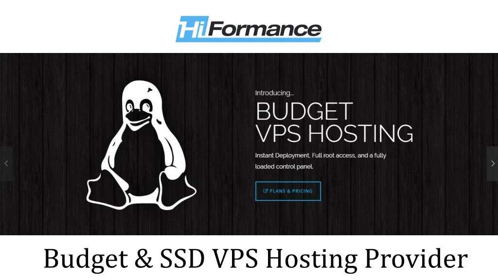 budget ssd vps hosting provider