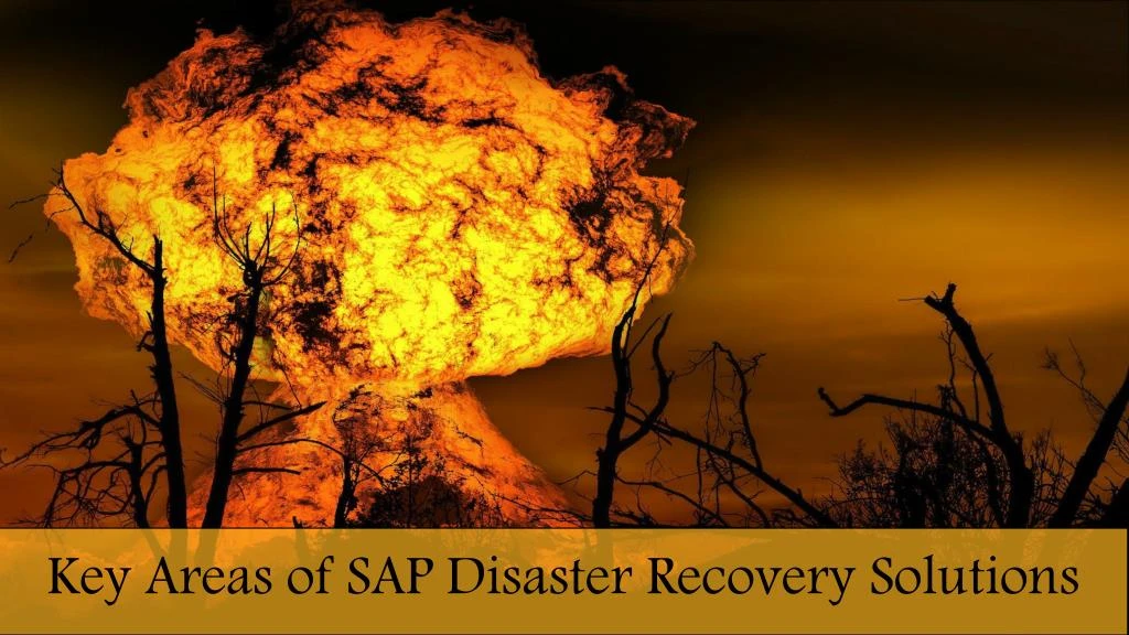 key areas of sap disaster recovery solutions
