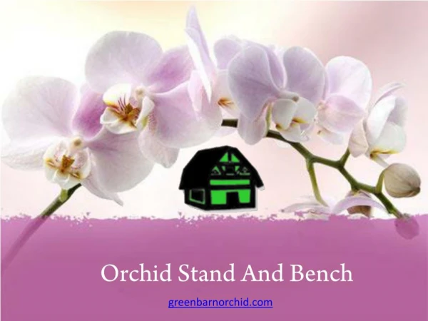 Buy Orchid Stand in Florida at Reasonable Prices