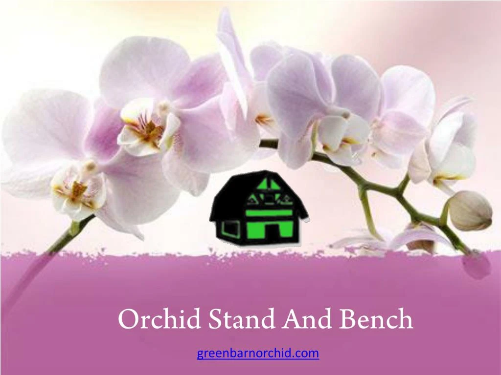 orchid stand and bench