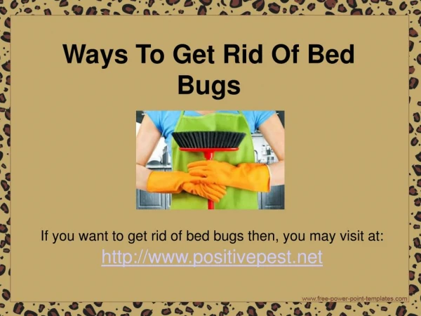 Ways To Get Rid Of Bed Bugs