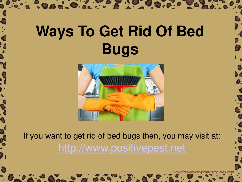 if you want to get rid of bed bugs then you may visit at http www positivepest net