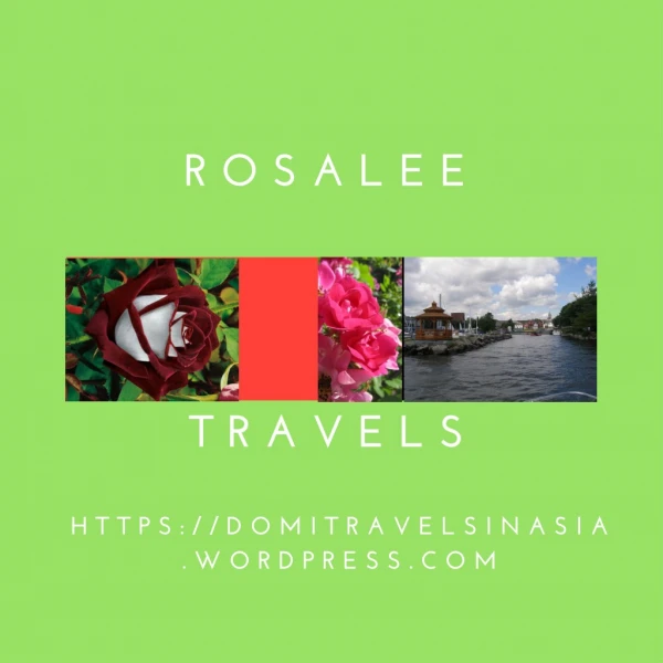 r o s a l e e