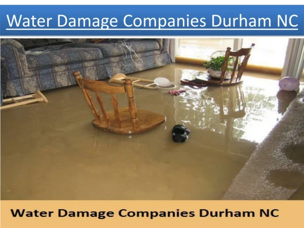 Best Water Damage Companies Durham North Carolina