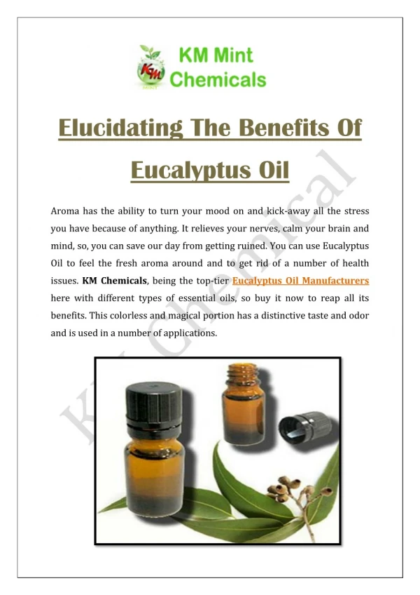 Elucidating The Benefits Of Eucalyptus Oil