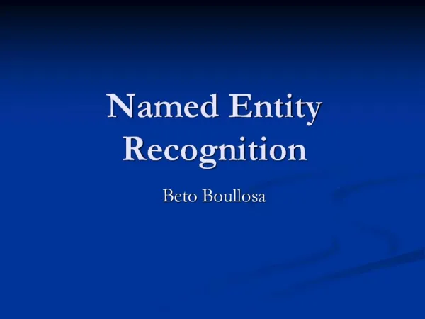 Named Entity Recognition