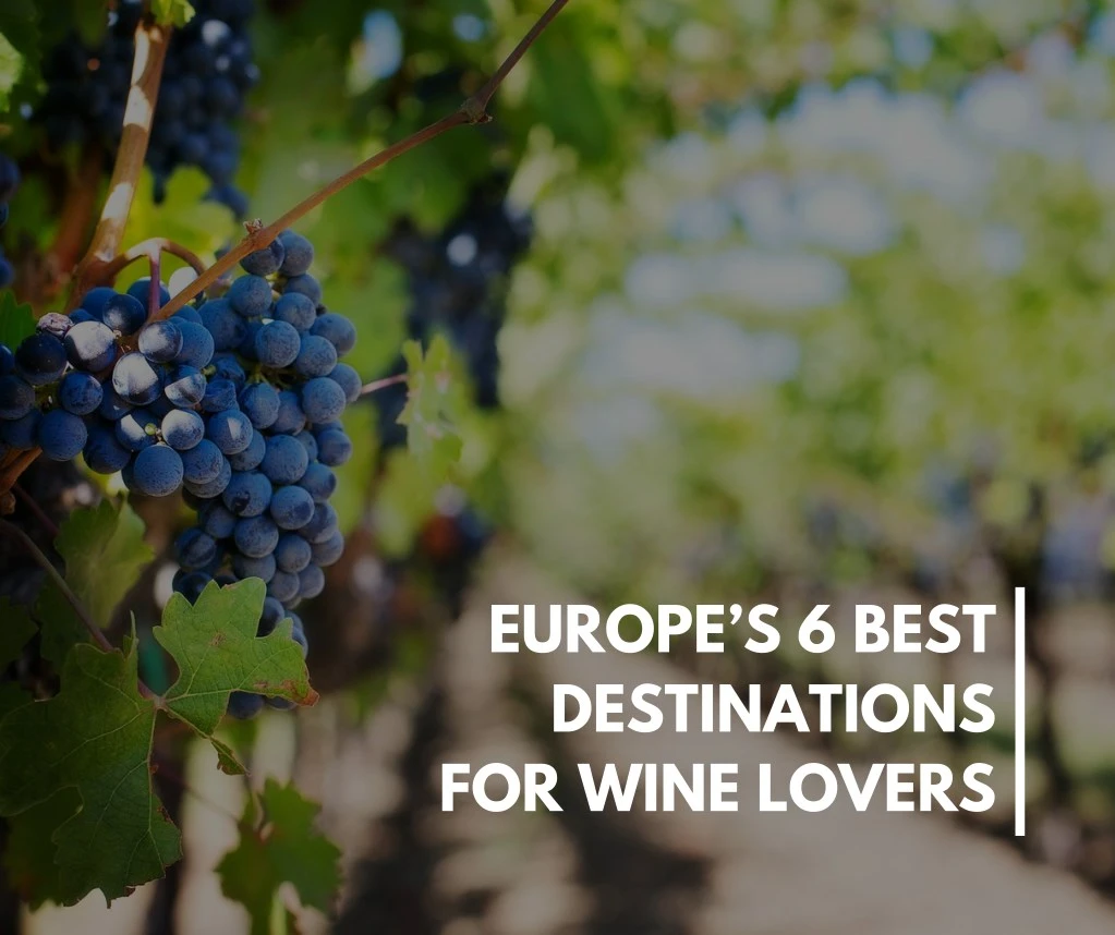 europe s 6 best destinations for wine lovers