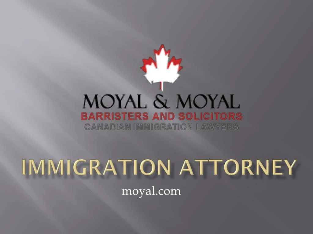 immigration attorney
