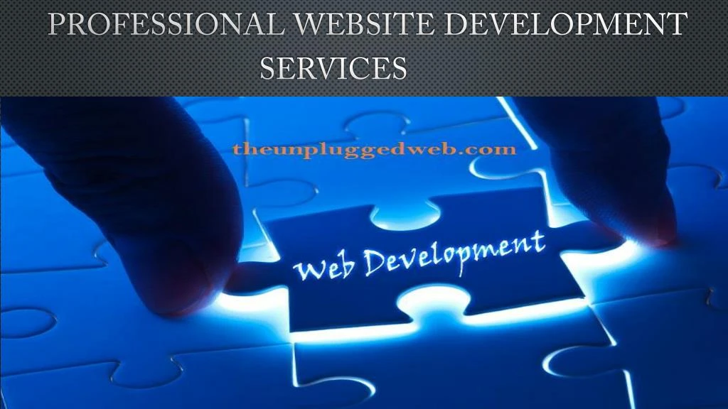professional website development services