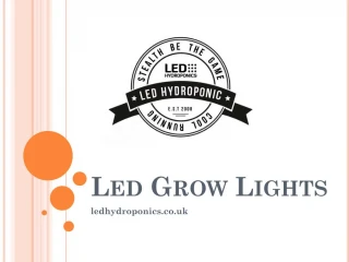 Led Grow Lights - slide 1