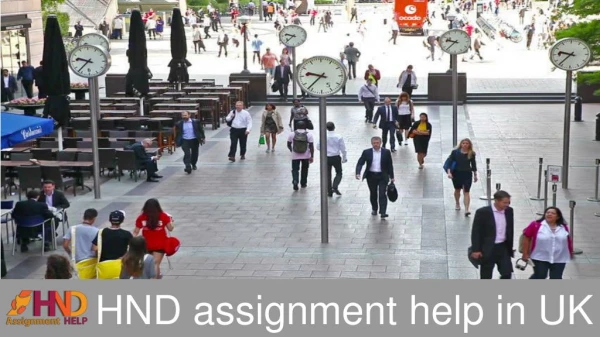 HND Assignment help in Uk