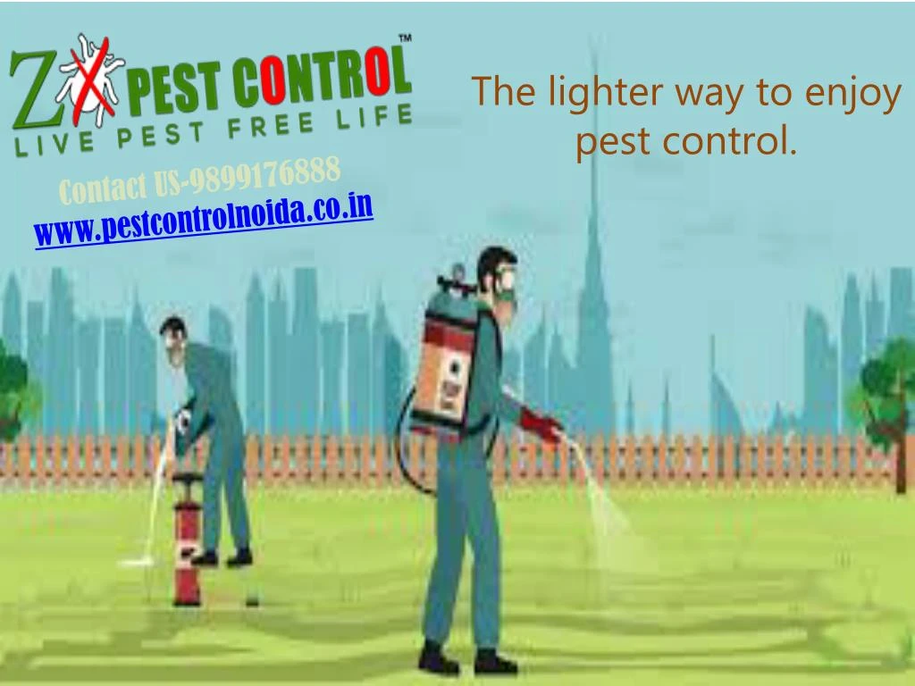 contact us 9899176888 www pestcontrolnoida co in