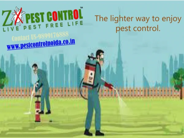 Pest Control Service in Greater Noida West