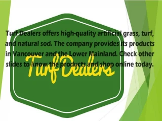 Revamp Your Lawn With Artificial Grass - slide 1
