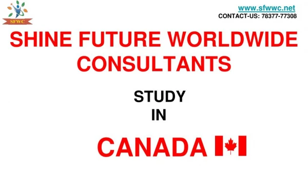 Shine Future Worldwide Consultants