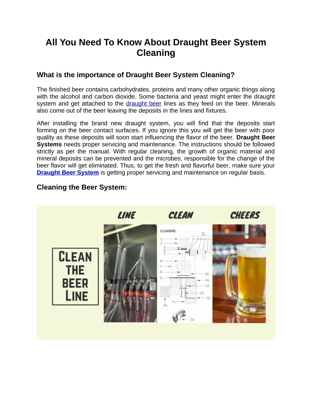 all you need to know about draught beer system
