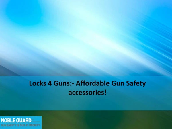 Locks 4 Guns:- Affordable Gun Safety accessories