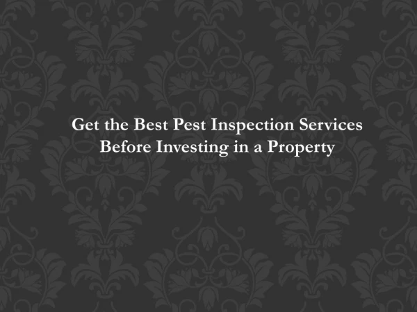 Get the Best Pest Inspection Services Before Investing in a Property