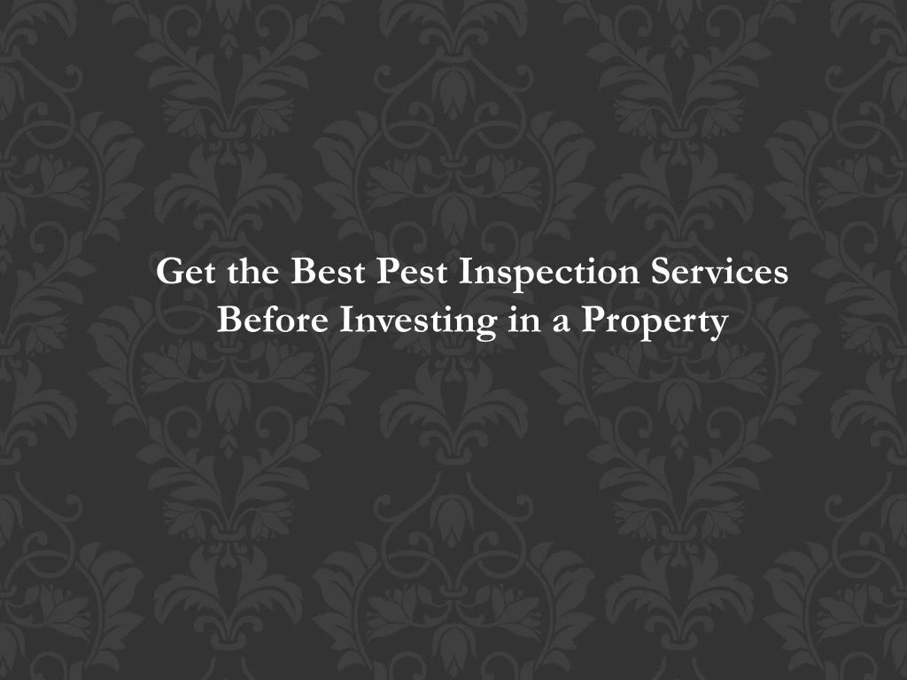 get the best pest inspection services before
