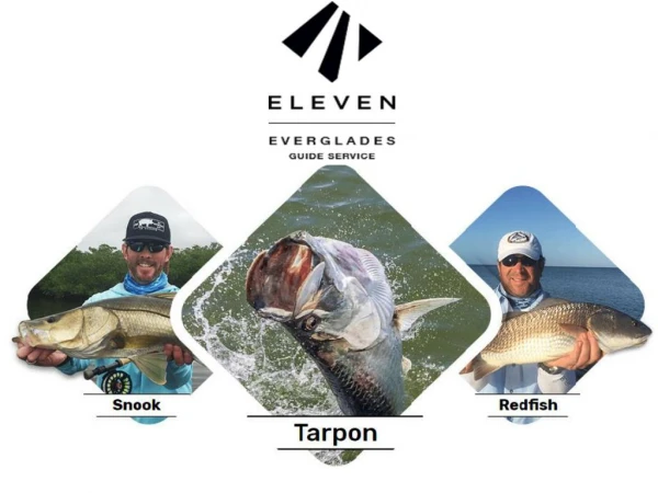 Everglades City Fly Fishing Guides
