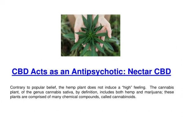 CBD Acts as an Antipsychotic: Nectar CBD