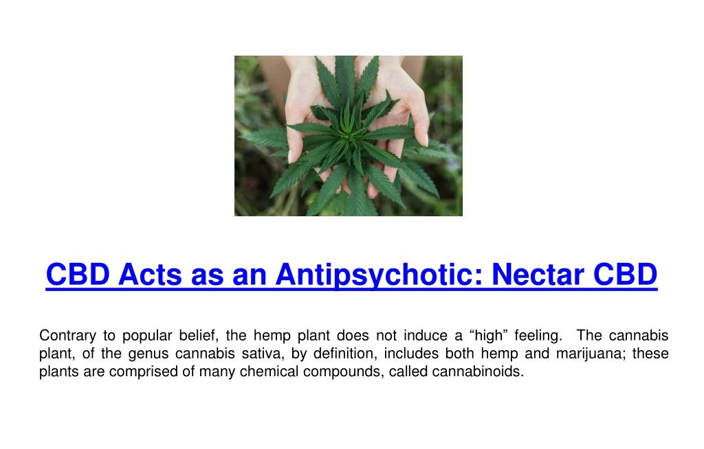 cbd acts as an antipsychotic nectar cbd