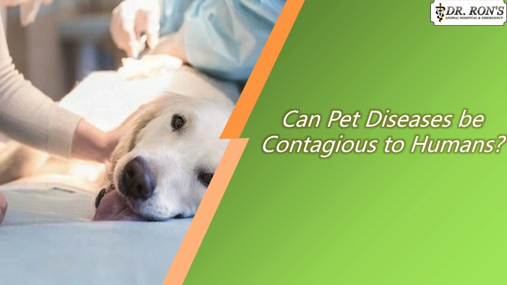 can pet diseases be contagious to humans