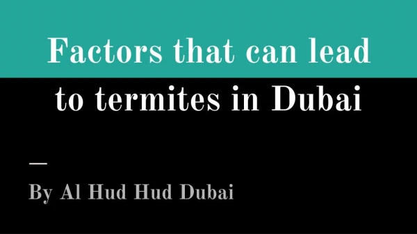 Termite Control In Dubai | Al Hud Hud