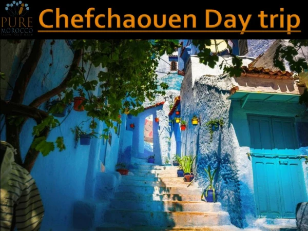 Chefchaouen Day trip