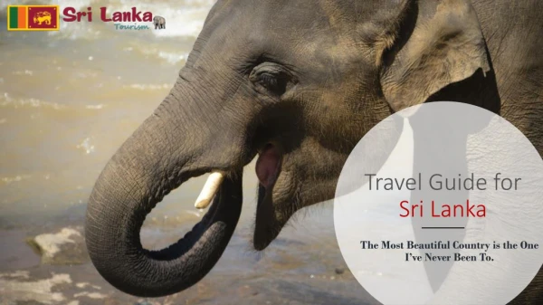 Travel guide for the Magical island Sri Lanka