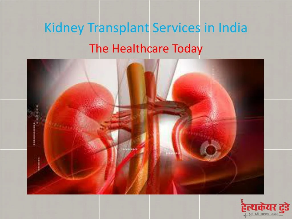 PPT - Kidney Transplant Services in India PowerPoint Presentation, free ...