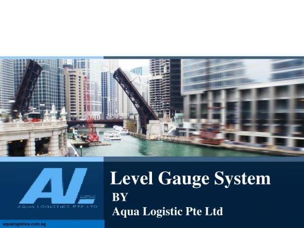 level gauge system