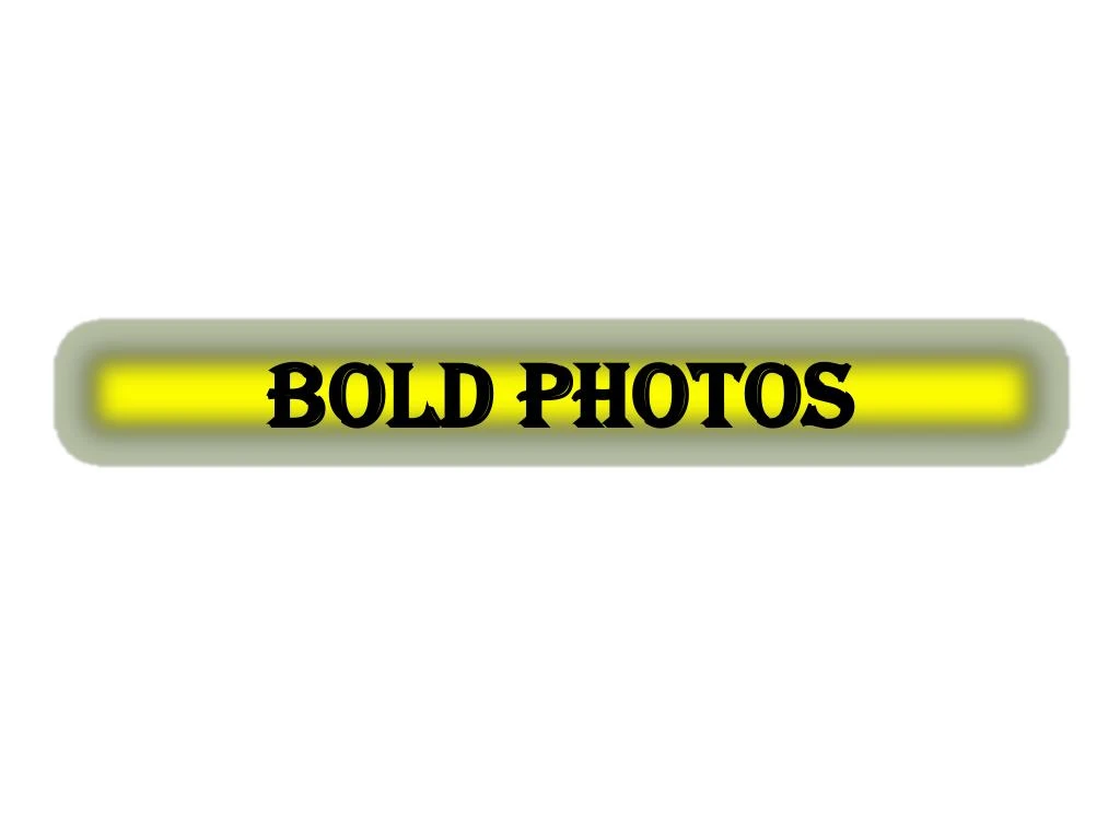 bold photos