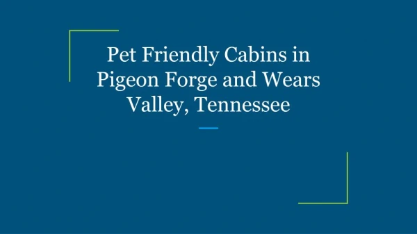 Pet Friendly Cabins in Pigeon Forge and Wears Valley, Tennessee
