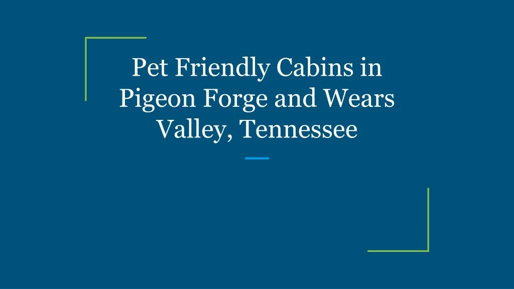 pet friendly cabins in pigeon forge and wears valley tennessee