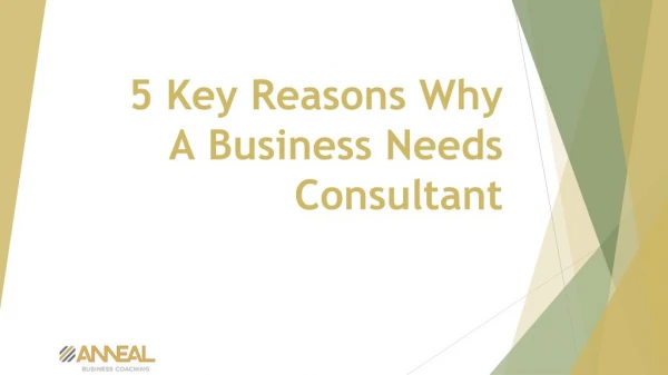 5 Key Reasons Why A Business Needs Consultant
