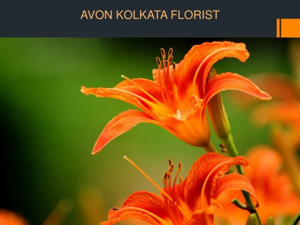 Cake delivery in Kolkata | Avon Kolkata Florist